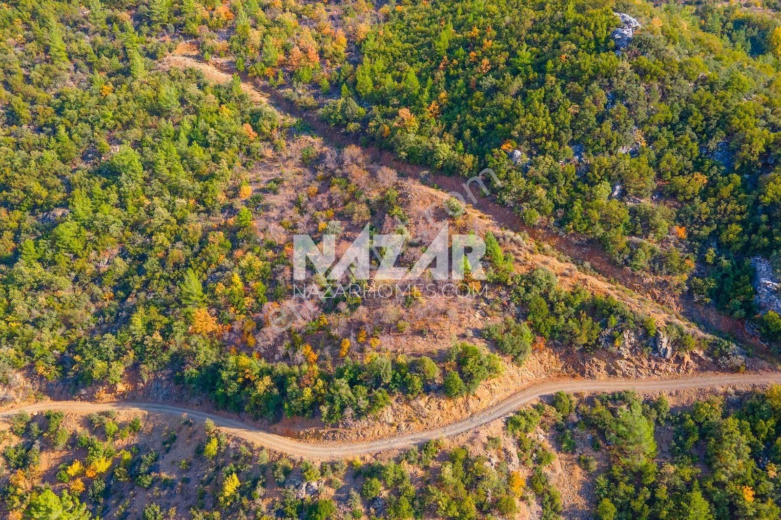 Gazipaşa Doğanca Köyü’nde Satılık 8.552 M² Tarla - Görsel 18