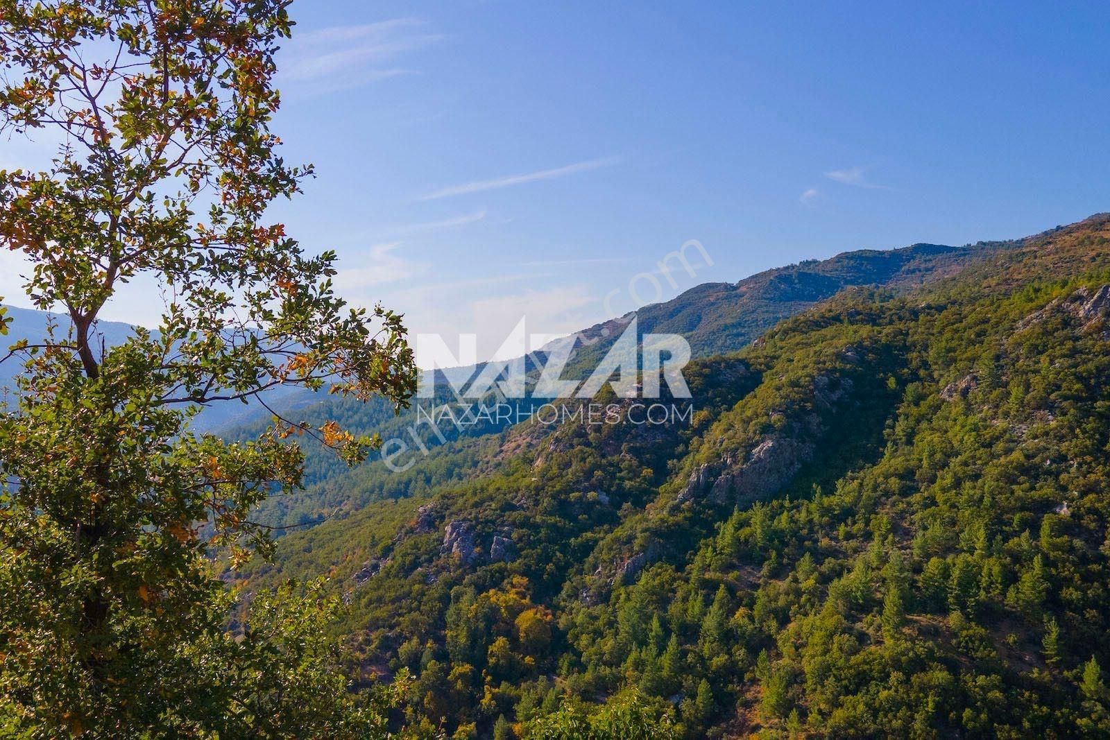 Gazipaşa Doğanca Köyü’nde Satılık 8.552 M² Tarla - Görsel 30