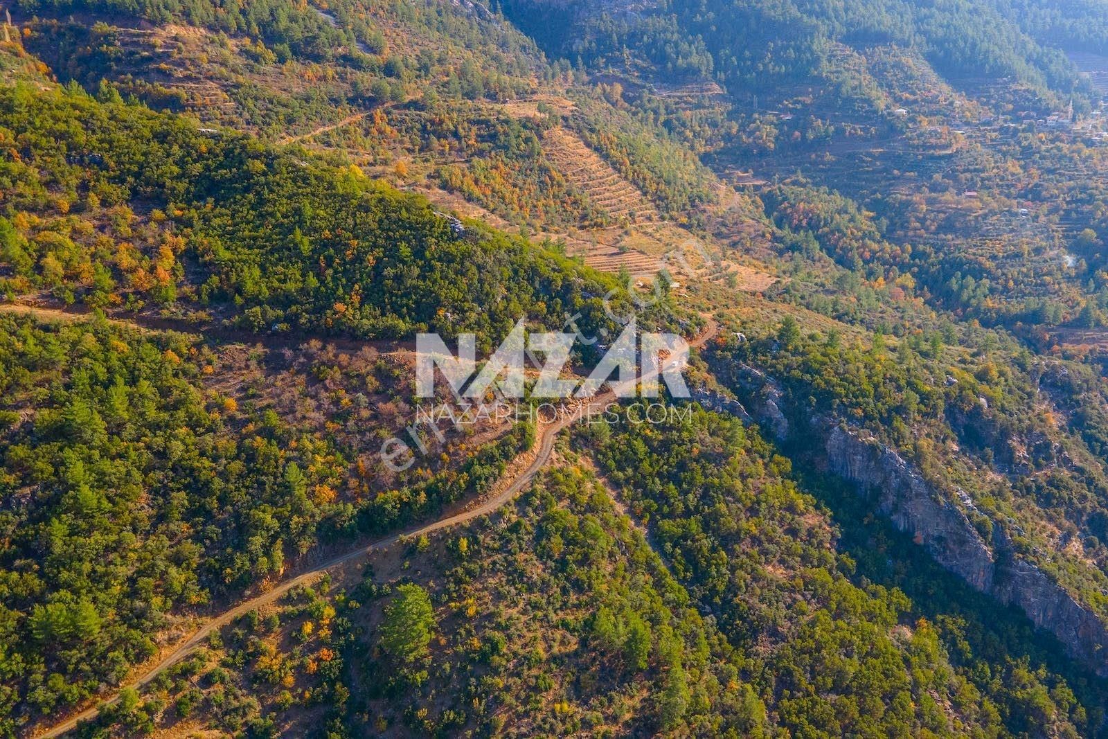 Gazipaşa Doğanca Köyü’nde Satılık 8.552 M² Tarla - Görsel 14