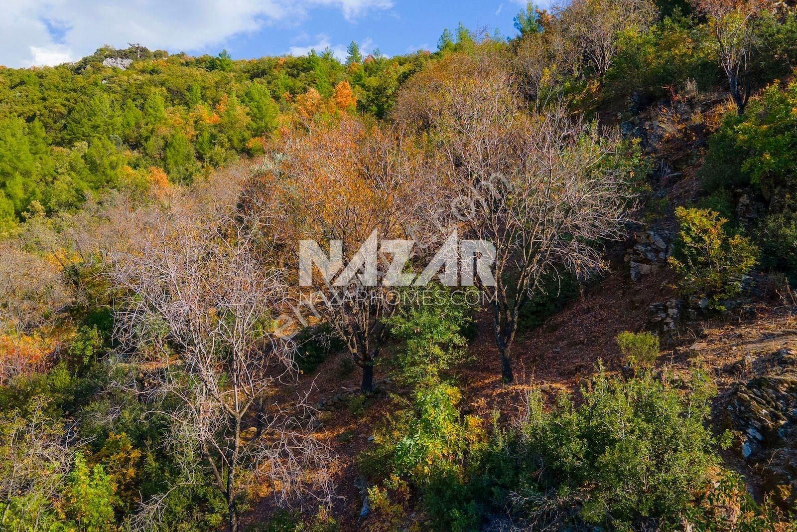 Gazipaşa Doğanca Köyü’nde Satılık 8.552 M² Tarla - Görsel 5