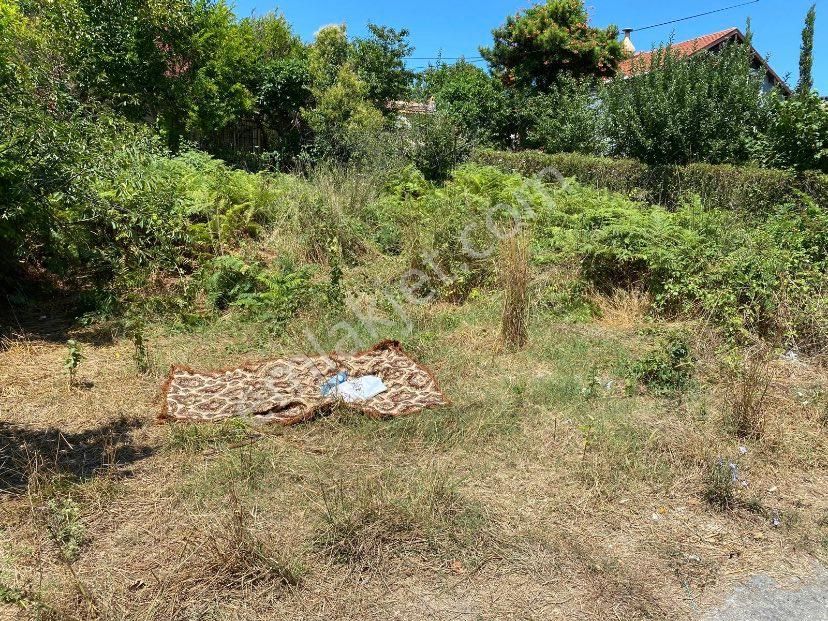 Arnavutköy Yeniköy Satılık Villa İmarlı Kanal istanbul projesine ve istanbul havalimanına komşu arsa