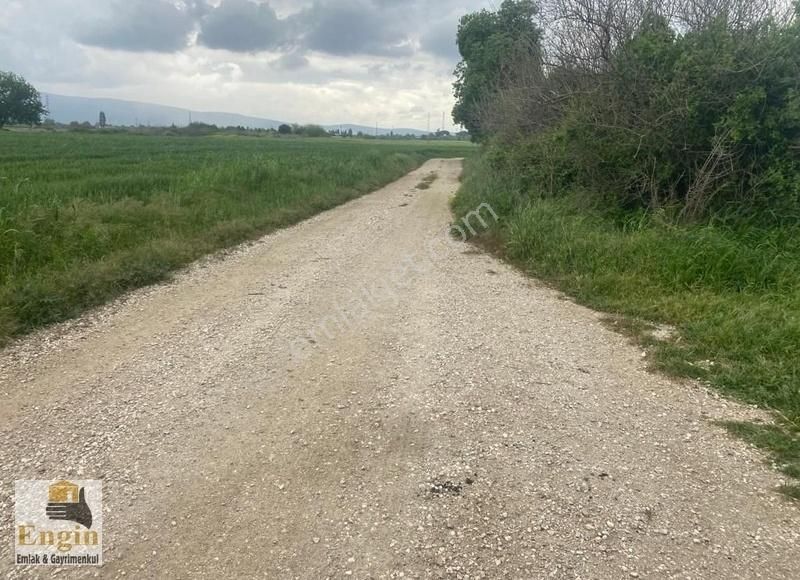 Torbalı Arslanlar Satılık Tarla Aslanlar Köyü Imara Yakın 6 Dönüm Elektrik Su Yol Olan Tarla