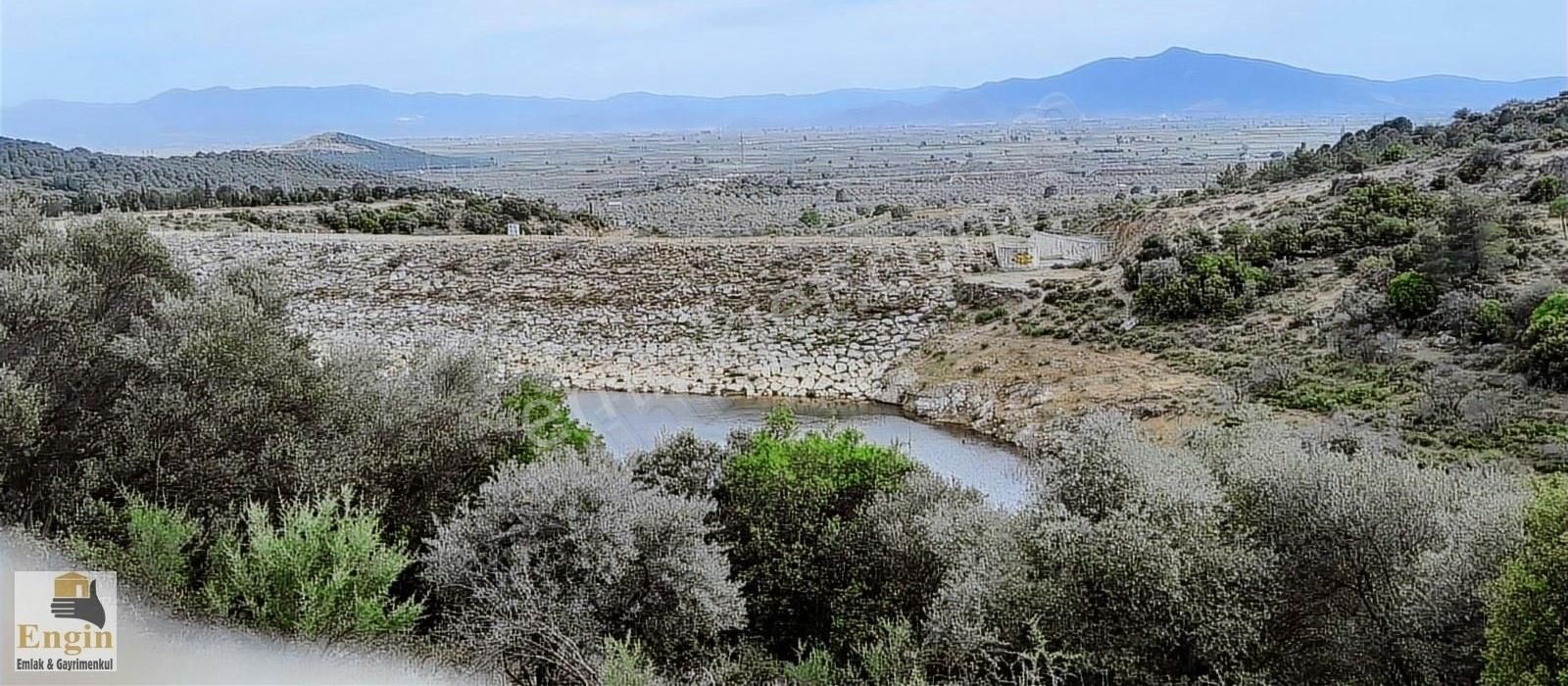 Torbalı Arslanlar Satılık Tarla 37dönüm Kelepir Zeytinlik