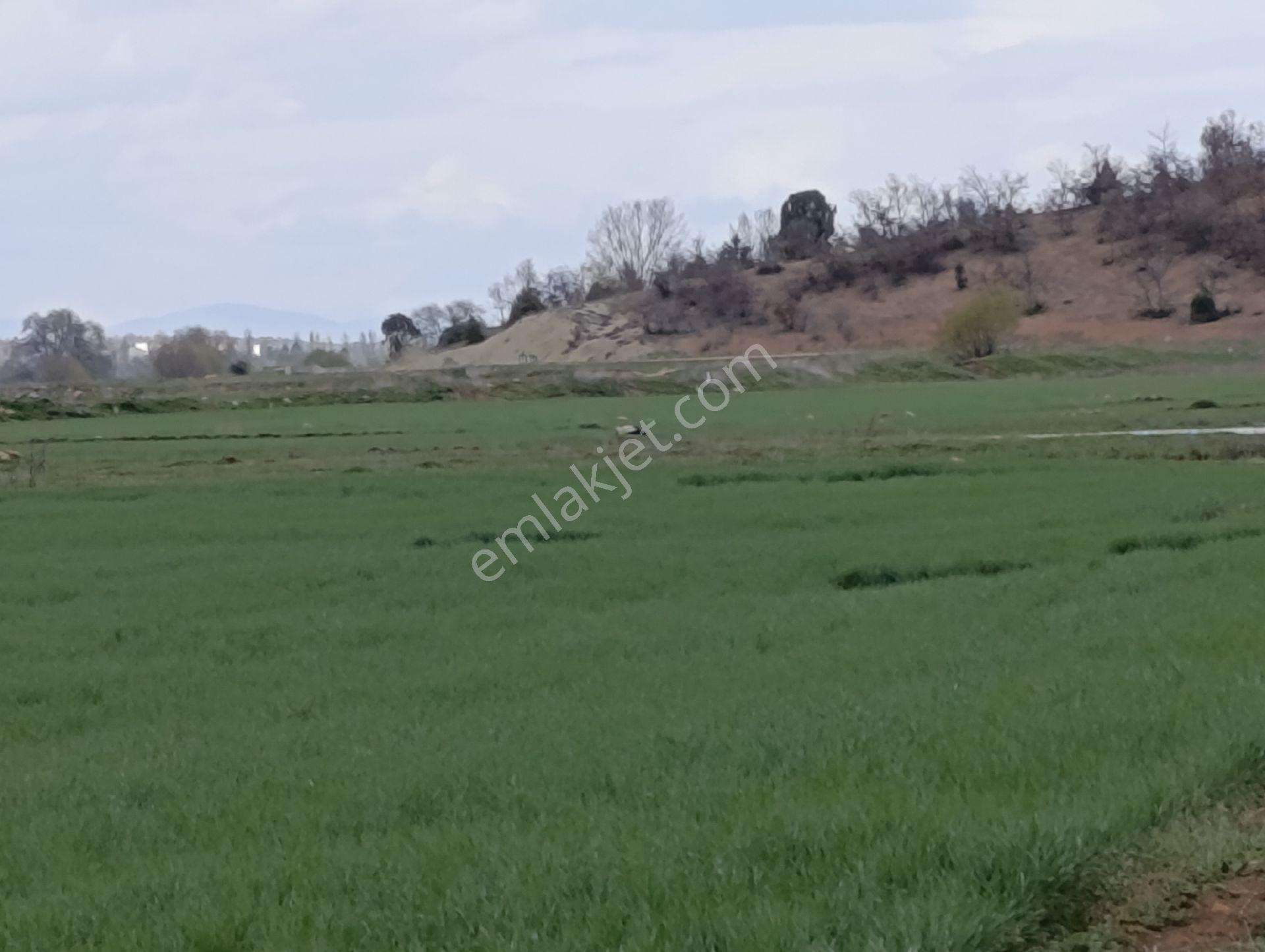 Beyşehir Çetmi Uygun Fiyat - Görsel 2