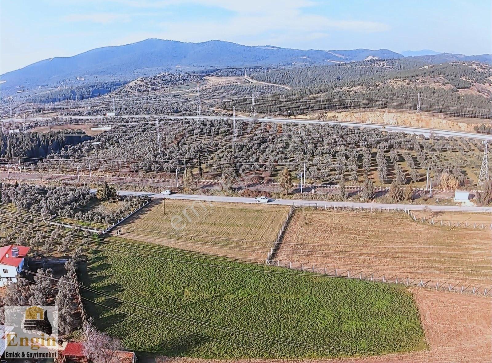 Torbalı Aslanlar Köyünde İmar Sınırında Tarla - Görsel 12