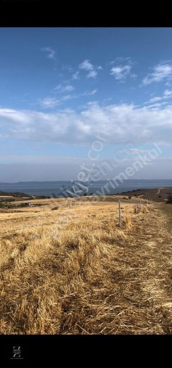 Gelibolu Ocaklı Köyü Satılık Villa İmarlı ÇANAKKALE GELİBOLU OCAKLI KAÇIRILMAYACAK FIRSATTA ARSA