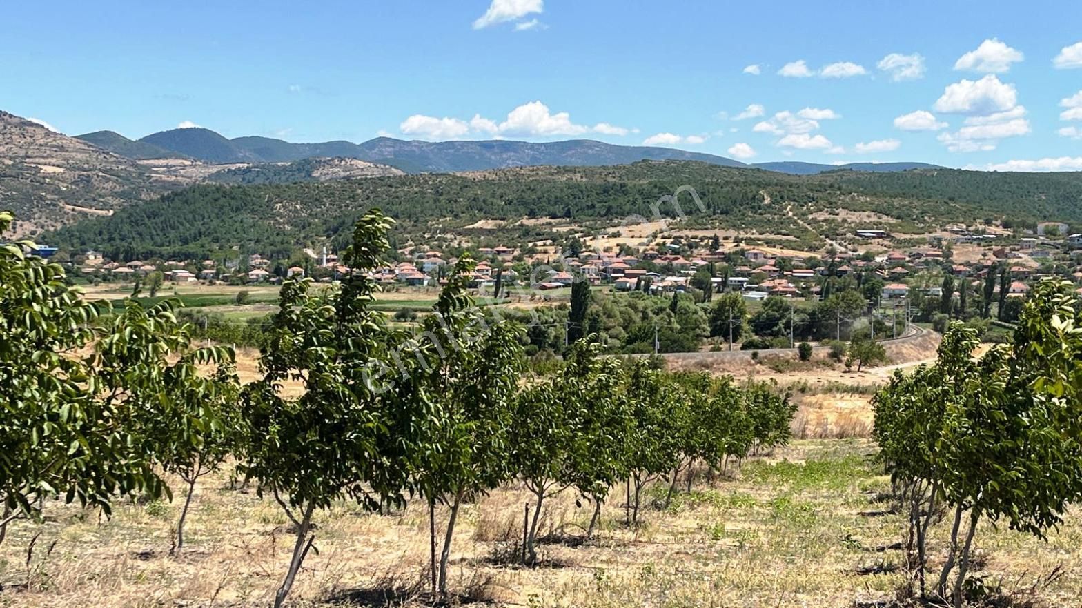 Kepsut Nusret Satılık Bağ & Bahçe  MİR'den BALIKESİR KEPSUT NUSRET MAH.'de SATILIK 2PARSEL CEVİZLİK