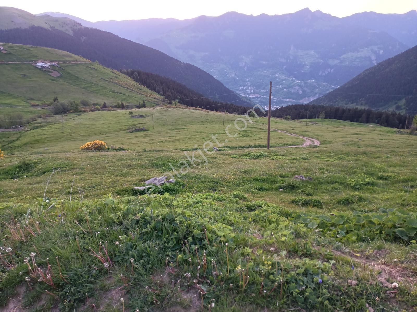 Maçka Gürgenağaç Satılık Arazi Trabzon Maçka Gürgenağaçta Satılık Arsalar