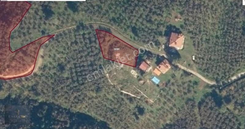 Akyazı Güzlek Satılık Konut İmarlı Emlaktek Gayrimenkul Güzlekte Panoramik Manzaralı İmarlı Arsa