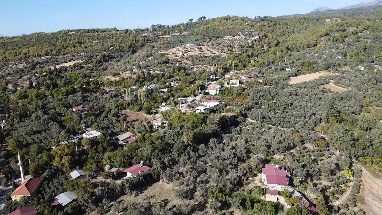 Seydikemer Kayadibi Satılık Tarla Seydikemer Kayadibinde Satılık 684 M2