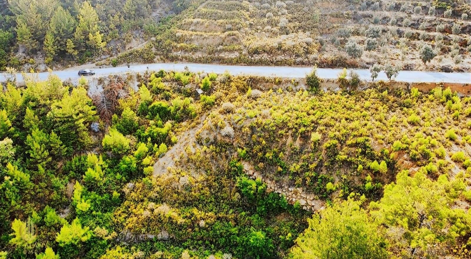 Alanya Üzümlü Satılık Tarla ALANYA ÜZÜMLÜ DE 1500 M2 YOLA SIFIR SATILIK TARLA