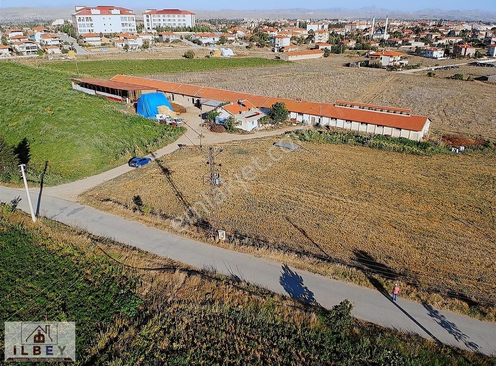 Şuhut Taşlıca Satılık Konut İmarlı İLBEY // Şuhut Merkez Taşlıca Mahallesinde 3 adet 1714 m² ARSA