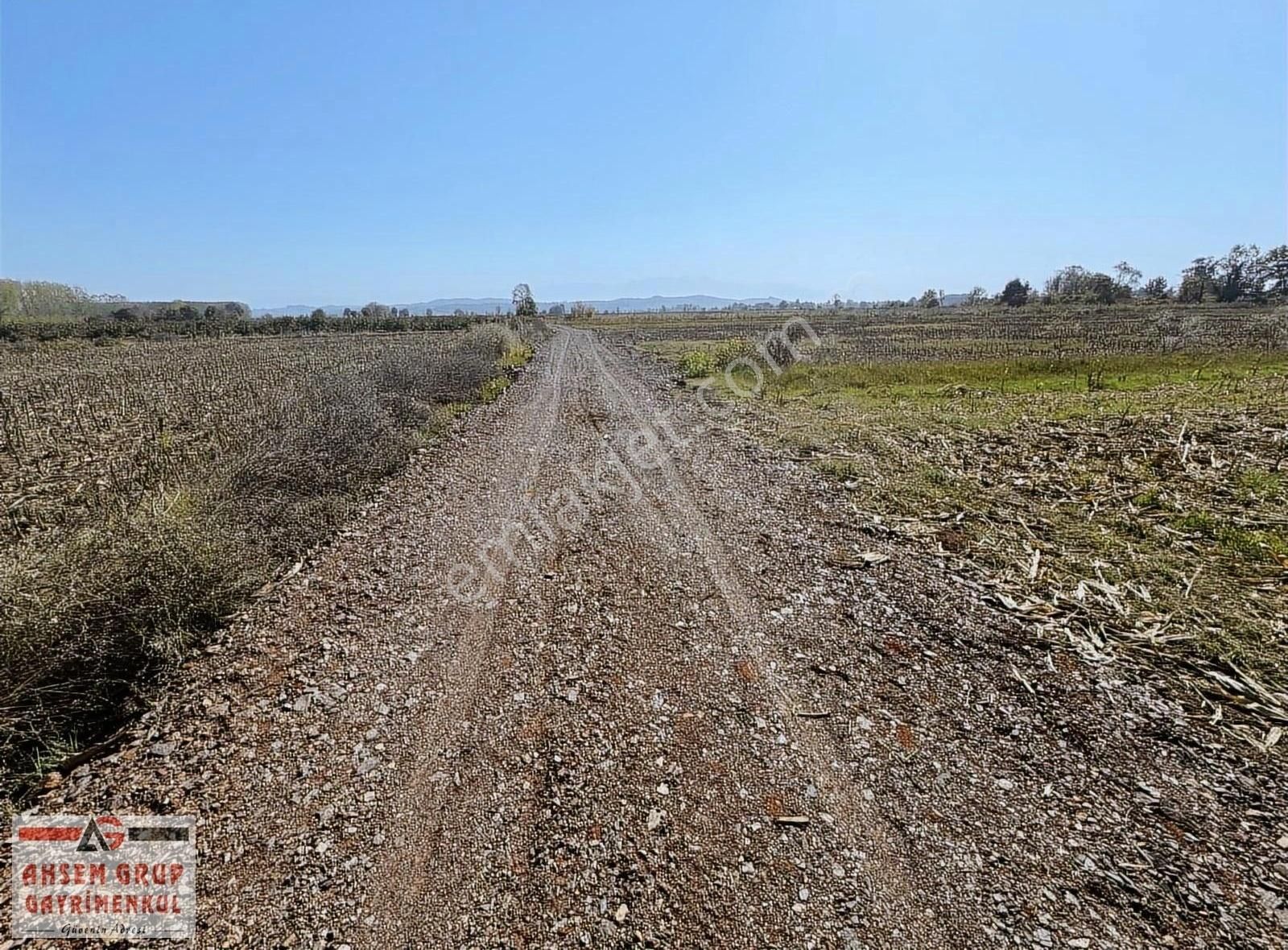 Hendek Tuzak Satılık Tarla Hendek Tuzak Köyünde Resmi Yol Kenarında Fırsat Arsa Sizlerle!!!