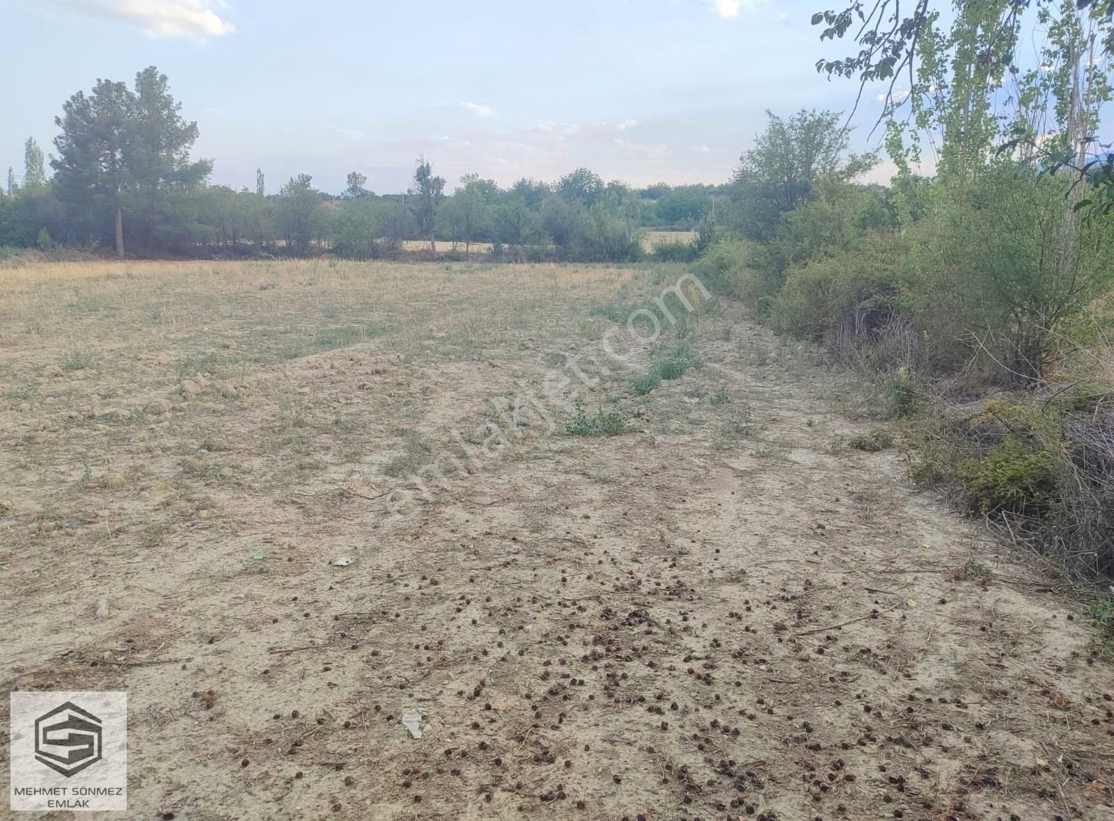 Antalya Korkuteli Yeşilyayla'da 3267m2 Müstakil - Görsel 5