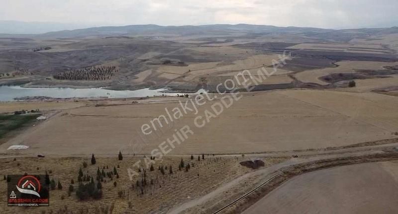 Elazığ Merkez Tadım Köyü Satılık Tarla [ACG] TADIM DA SATILIK BARAJA YAKIN ARAZİ ASFALTA SIFIR 45,644M2