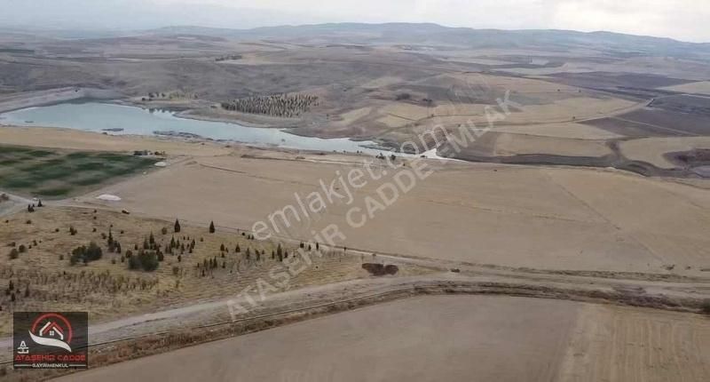 Elazığ Merkez Tadım Köyü Satılık Tarla [ACG] TADIM DA SATILIK BAHÇELİK ARAZİ BARAJA YAKIN 6511 M2