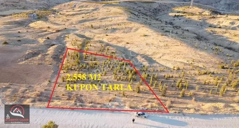 Elazığ Merkez Güneyçayırı Köyü Satılık Tarla [ACG] GÜNEYÇAYIR'DA 2.558 M2 SATILIK KUPON TARLA