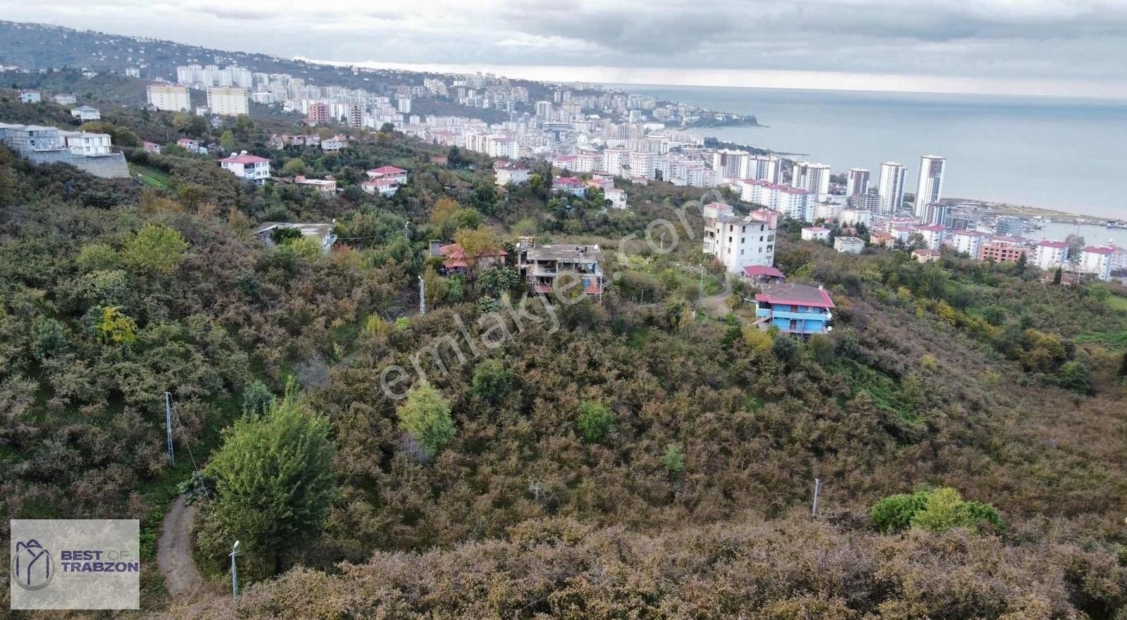 Yomra Sancak Satılık Bağ & Bahçe Best Of Trabzon - Yomra Sahile 750 M Satılık Arsa