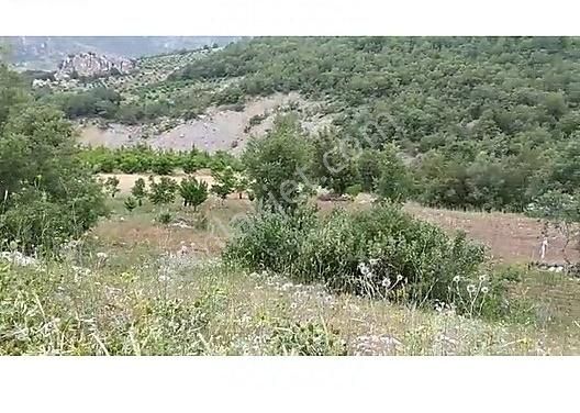 Alanya İmamlı Satılık Tarla ALANYA İMAMLI 1.744mt² KELEPİR ARSA