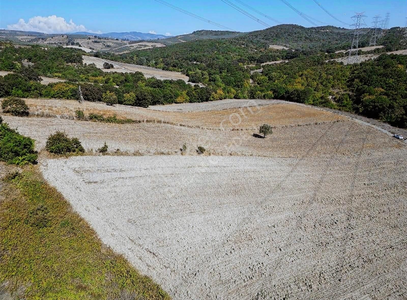 Mudanya Hançerli Satılık Tarla BURSA MUDANYA HANÇERLİ KÖYÜNDE SATILIK TARLA