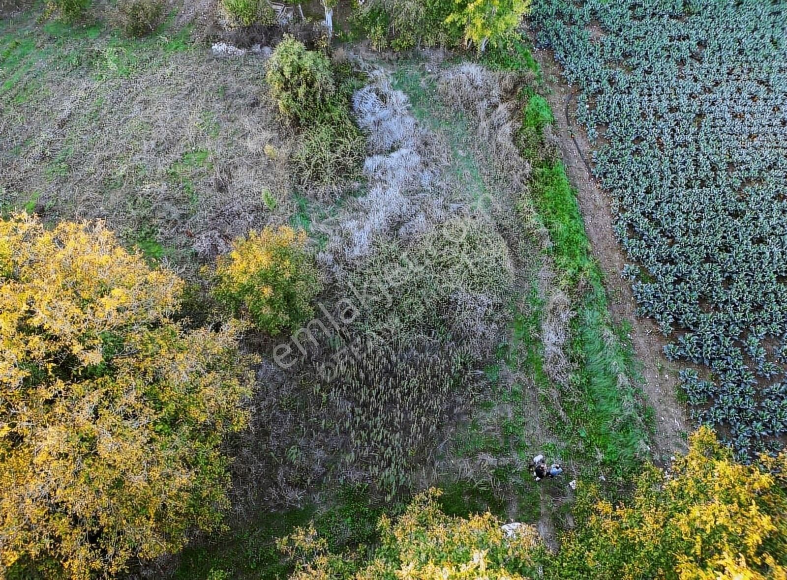 Yenişehir İncirli Satılık Tarla Yenişehir İncirlide Tek Tapu 180m2 Hobi Bahçesi