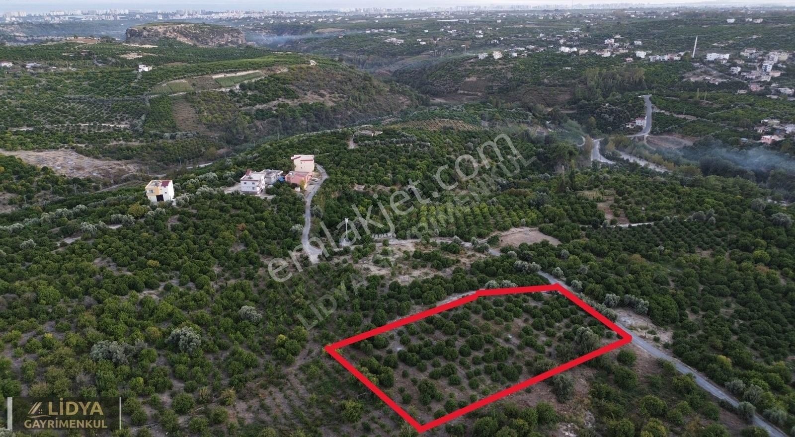 Erdemli Hacıhalilarpaç Satılık Villa İmarlı 2709 M2 ARSA DENİZ MANZARALI VİLLALIK ERDEMLİ HACIHALİL ARPAÇDA