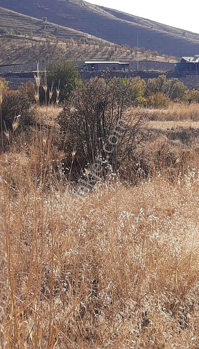 Elazığ Merkez Gözebaşı Köyü Satılık Bağ & Bahçe Gözebaşı (Kinederiş) Köyünde Satılık Küçük Tarla