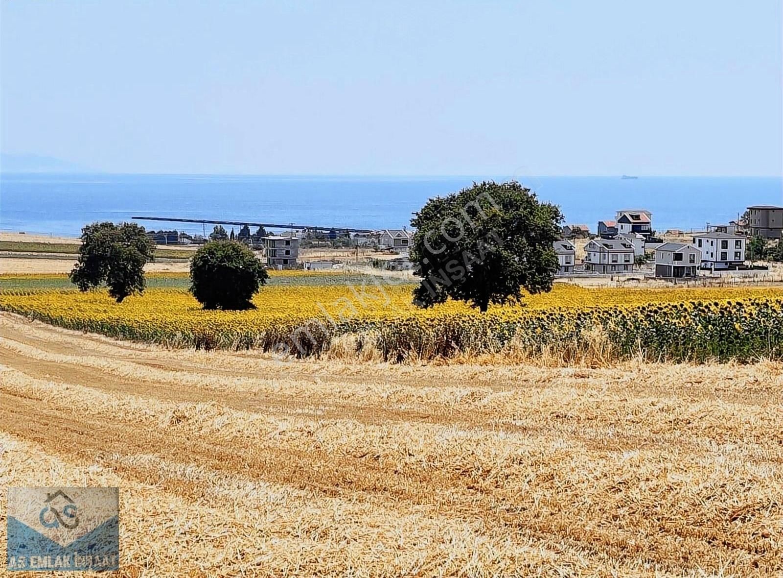 Marmaraereğlisi Çeşmeli Satılık Tarla HERKES ARSA SAHİBİ OLSUN YARISI PEŞİN YARISI ELDEN TAKSİTLE