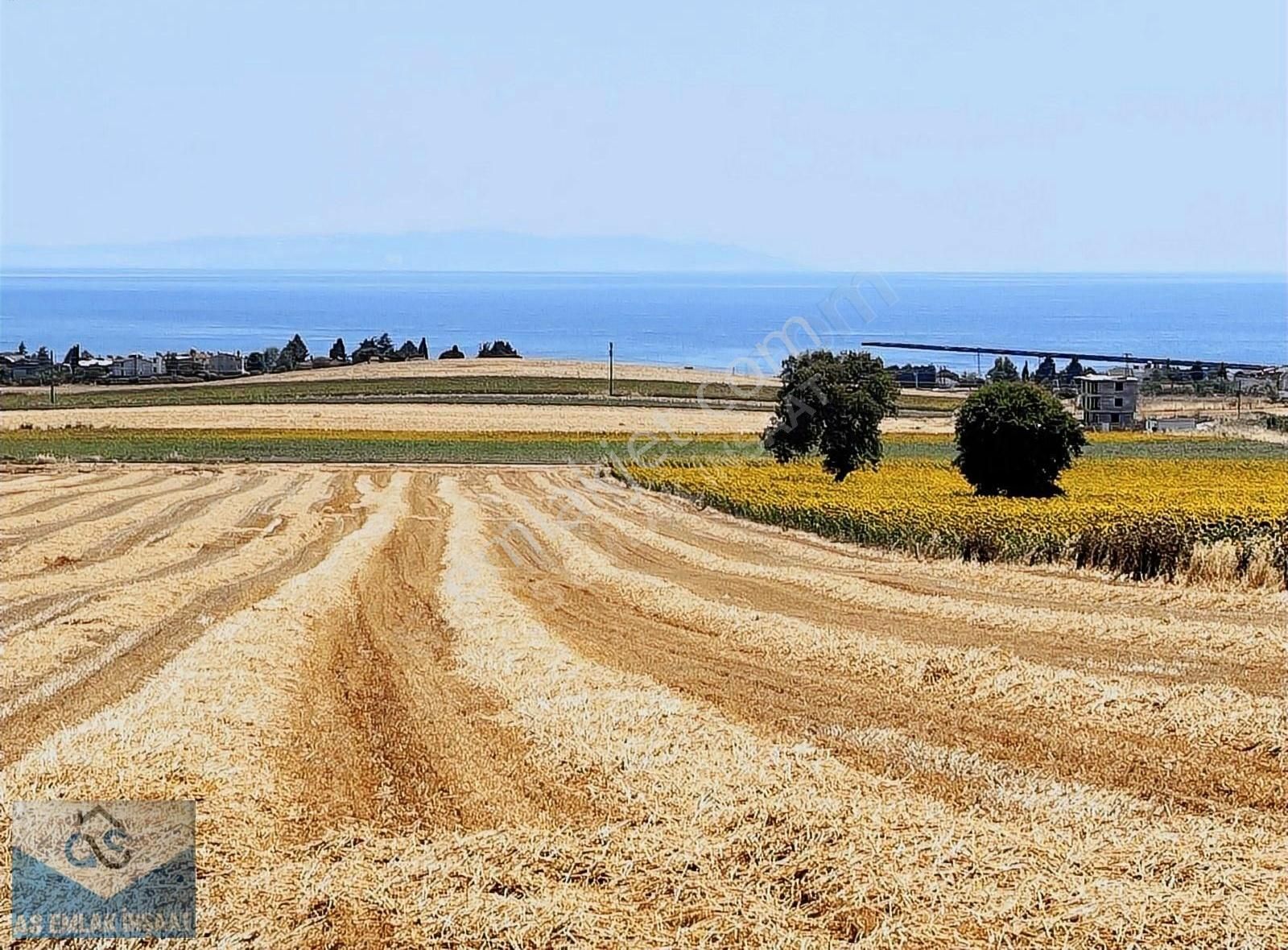 Marmaraereğlisi Yeniçiftlik Satılık Tarla Deniz Manzaralı İmara Yakın Yarısı Peşin Kalanı Elden Taksitle