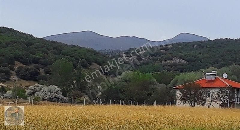 Kemalist Gayrimenkulden , Sarıkoz'da, 57,63 M2 Arsa Köy İçi - Görsel 6