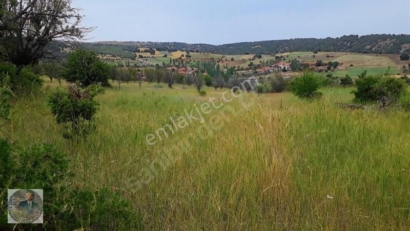 Kemalist Gayrimenkulden , Sarıkoz'da, 57,63 M2 Arsa Köy İçi - Görsel 7