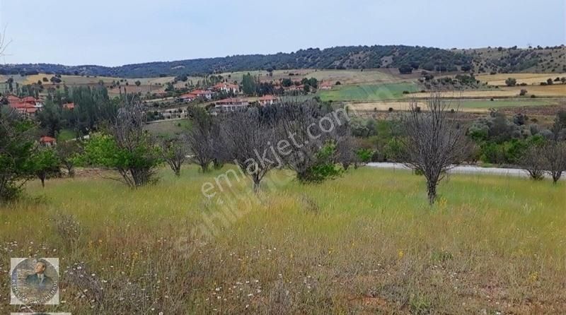 Kemalist Gayrimenkulden , Sarıkoz'da, 57,63 M2 Arsa Köy İçi - Görsel 8