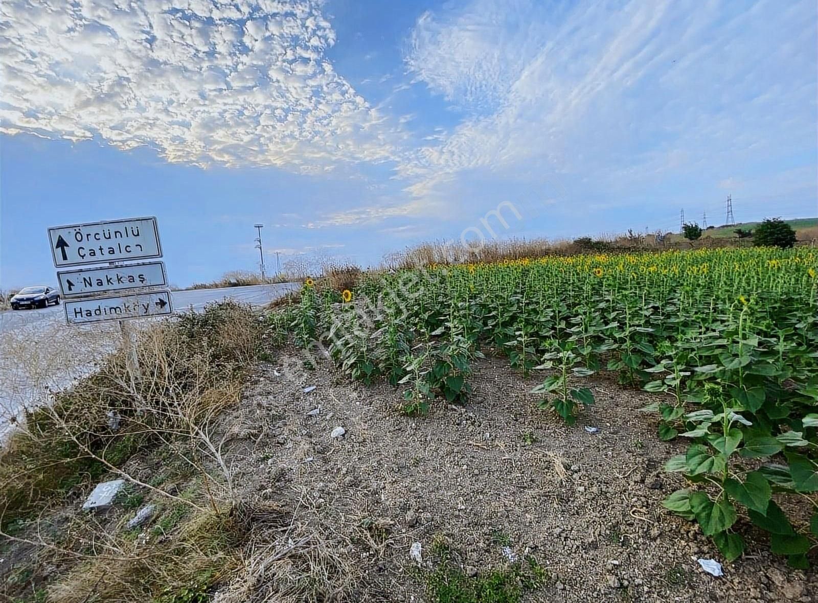 Çatalca Nakkaş Satılık Tarla SATILIK ÇAP MUVAFFAKNANELİ 200 M2