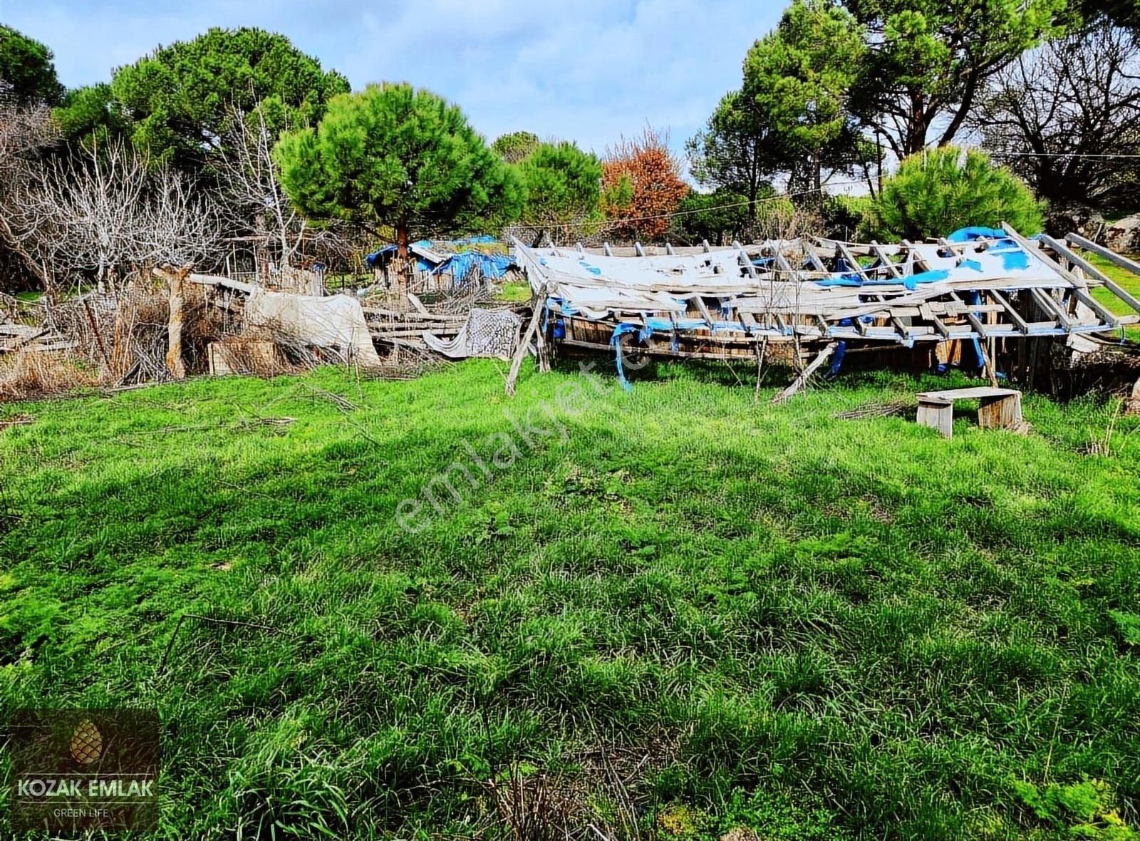 Bergama Kozak Hisar İmarlı Arsa Satılık - Görsel 13