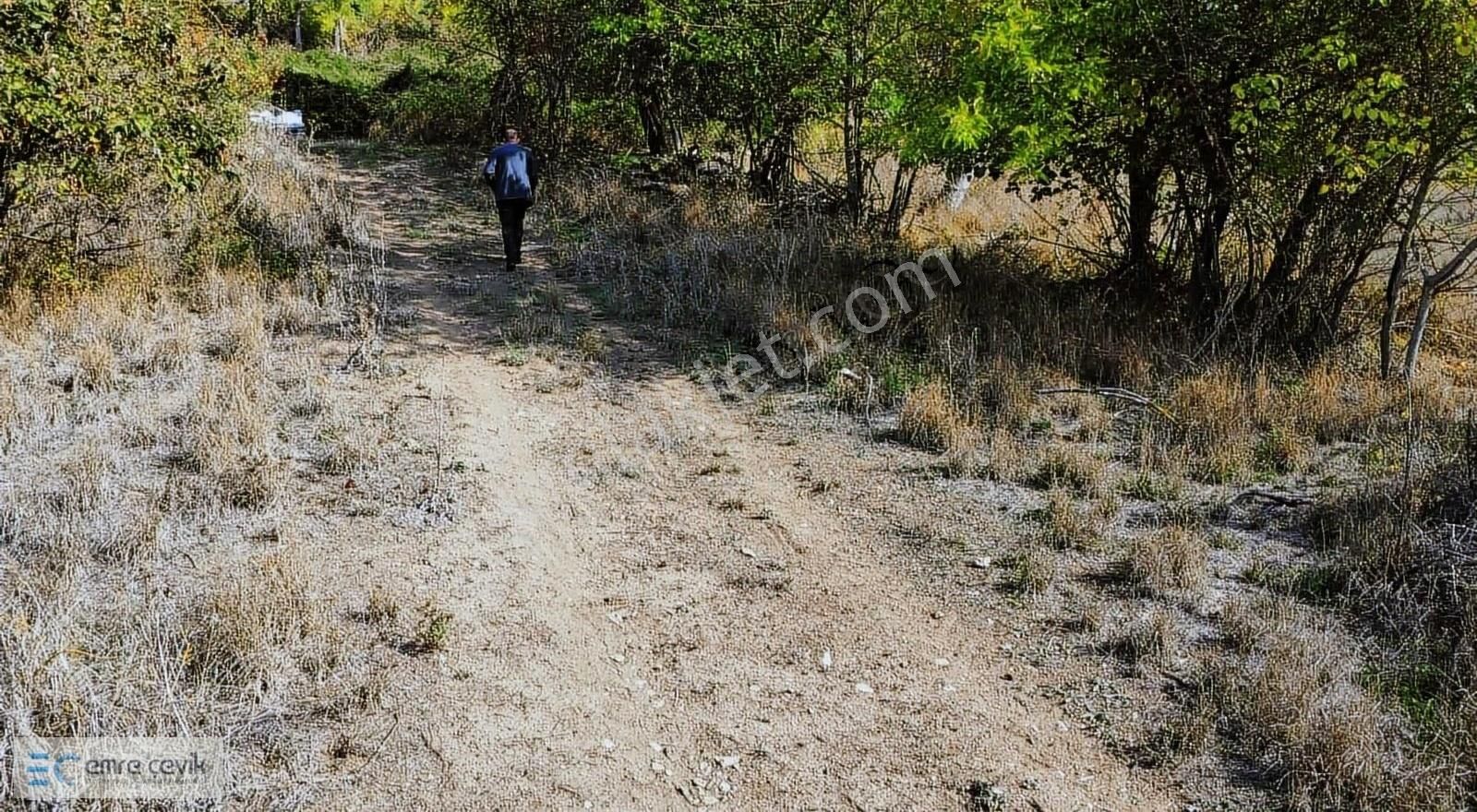 Yenişehir Günece Satılık Tarla Emre Çevik'den Yenişehir Günece Mh Hobi Bahçesi 667m2