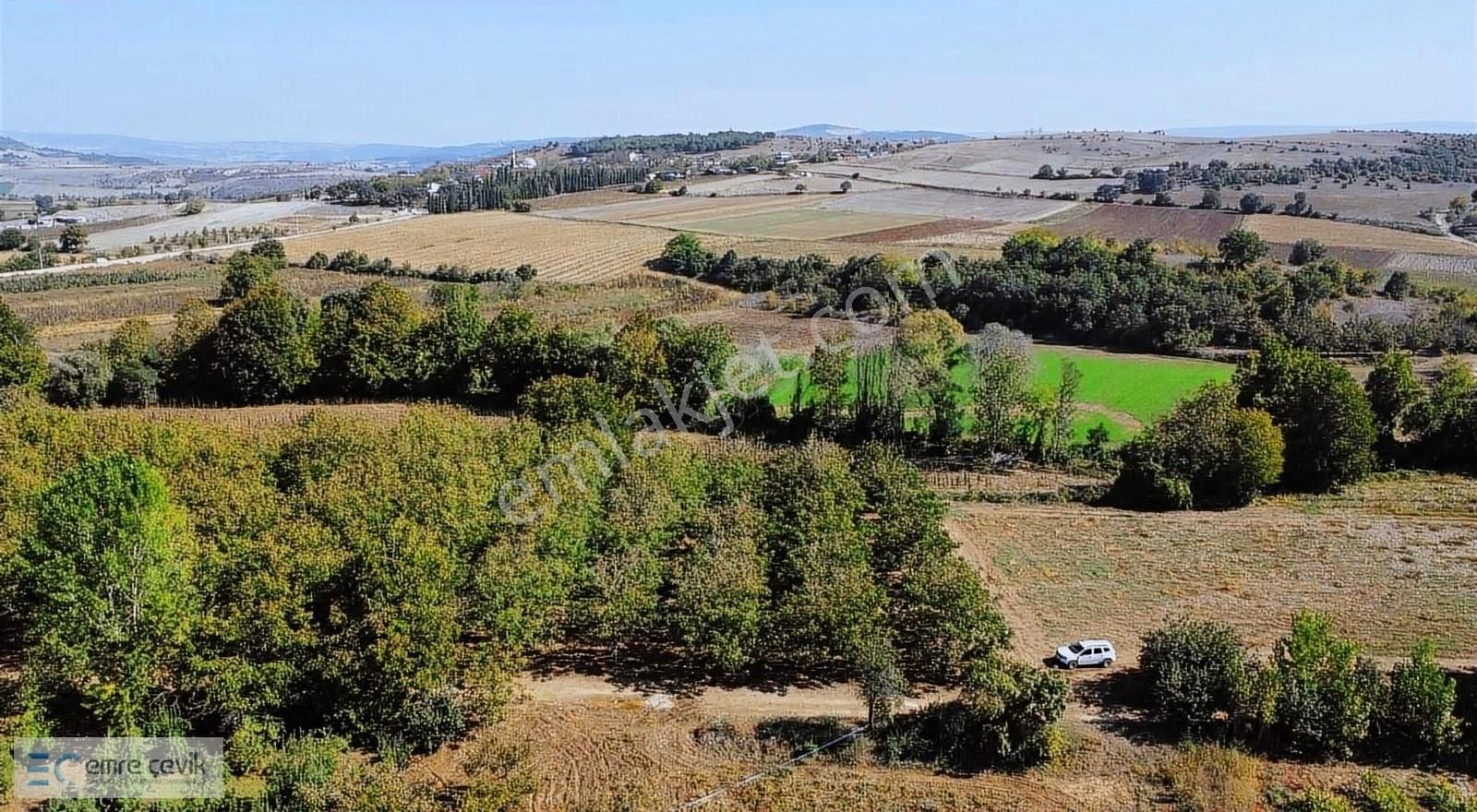 Emre Çevik'den Yenişehir Papatya Mh Hazır Ceviz Bahçesi 3200m2 - Görsel 6