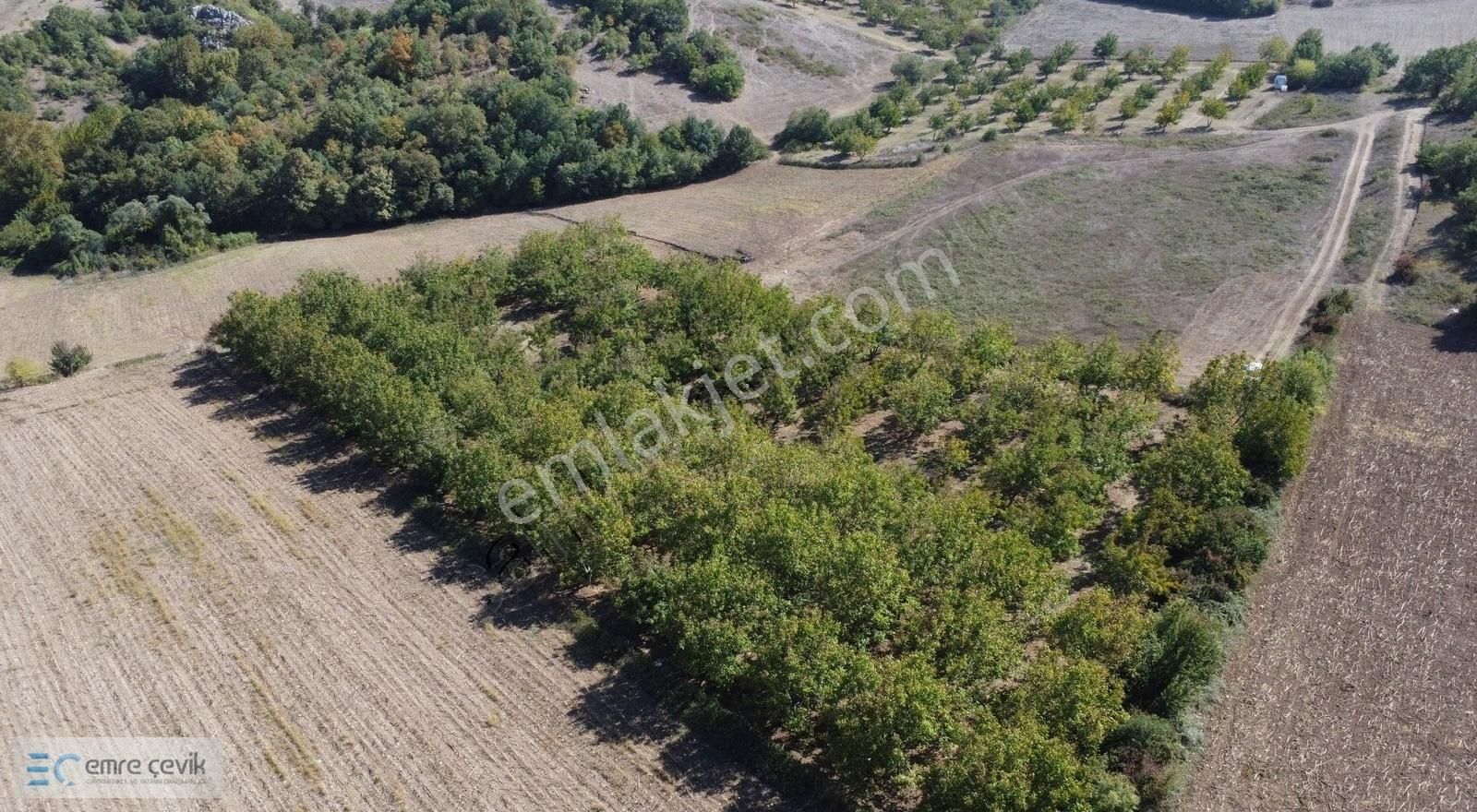 Yenişehir Gökçesu Mh Yetişmiş Ceviz Bahçesi 7970m2 - Görsel 8