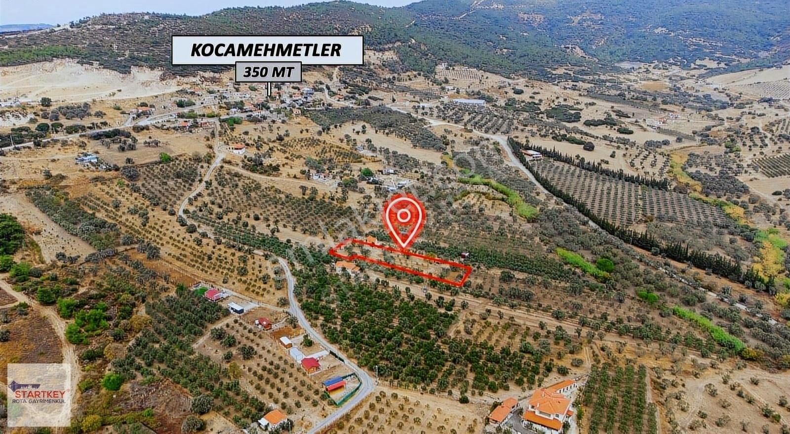 Foça Koca Mehmetler Satılık Zeytinlik Foça Koca Mehmetler Köyünde Satılık Zeytinlik