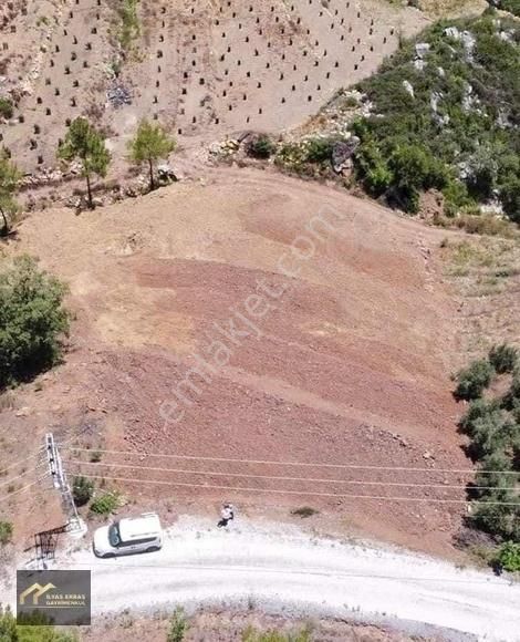 Alanya Tırılar Satılık Tarla TIRILAR MAHALLESİNDE SATILIK ARSA 2824 M2 GÜNEY CEPHE