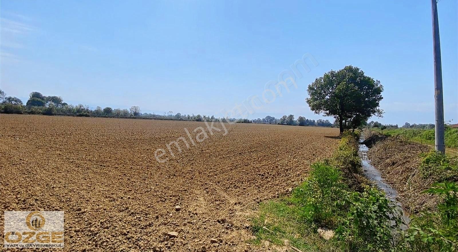 Düzce Merkez Şehit Hüseyin Kıl Satılık Tarla Özge Yapı Gayrimenkulden Konuralpte 27.044 M2 Satılık Arsa