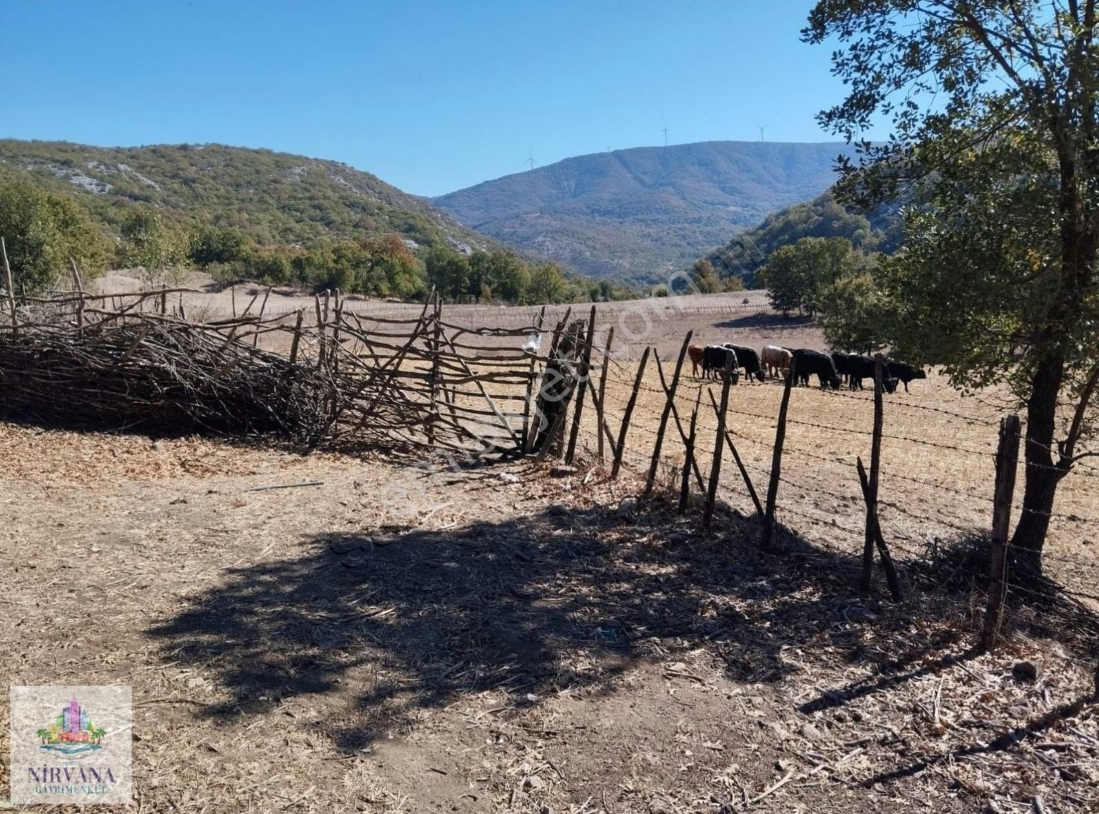 Savaştepe Yazören Satılık Tarla SAVAŞTEPE de damı olan tarla ve arsa birlikte....