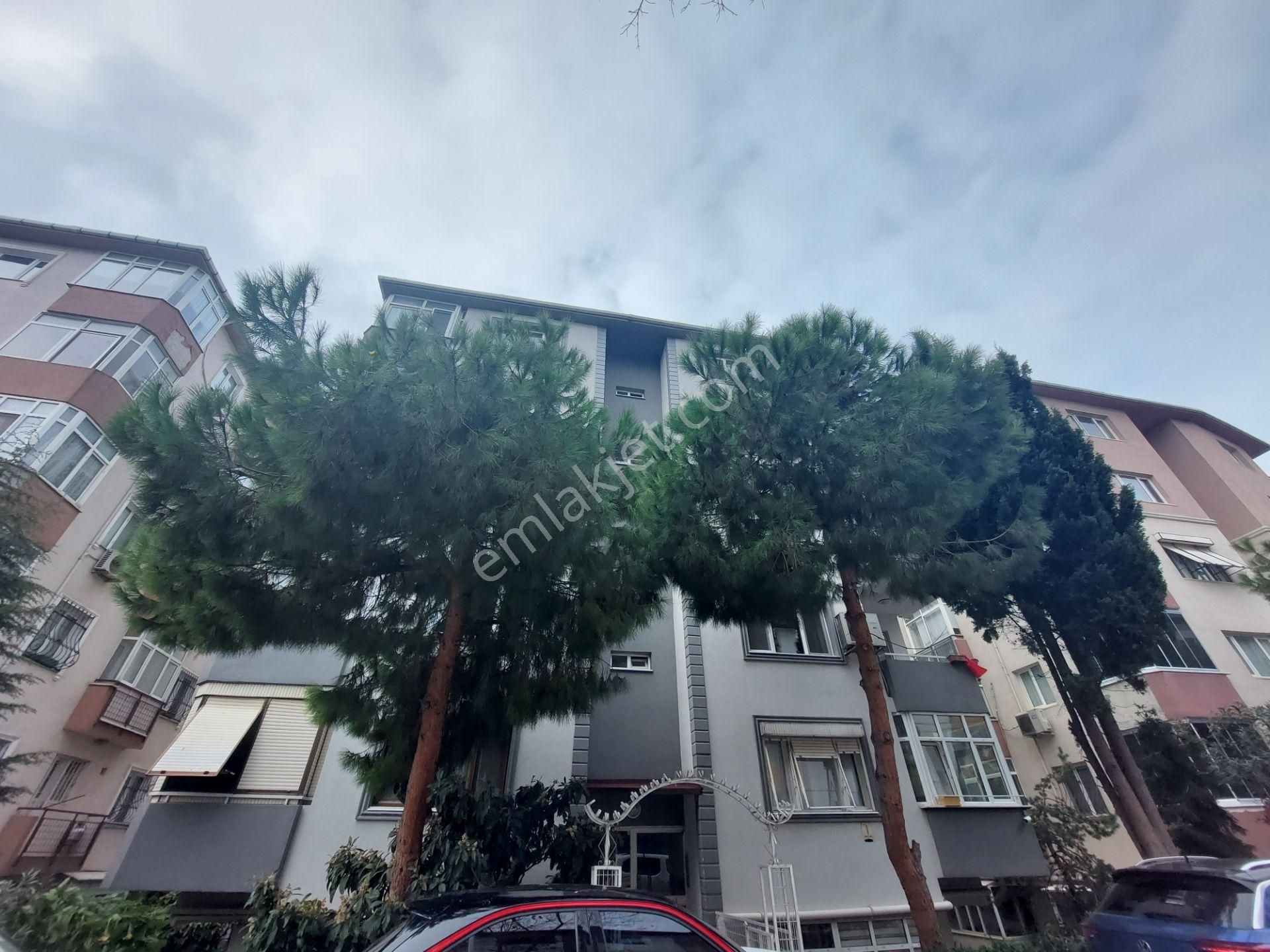 Maltepe İdealtepe Kiralık Daire  İlke'den Sahilde Marmara'ya Çok Yakın Ön Cephe Geniş 120m2 3+1!!