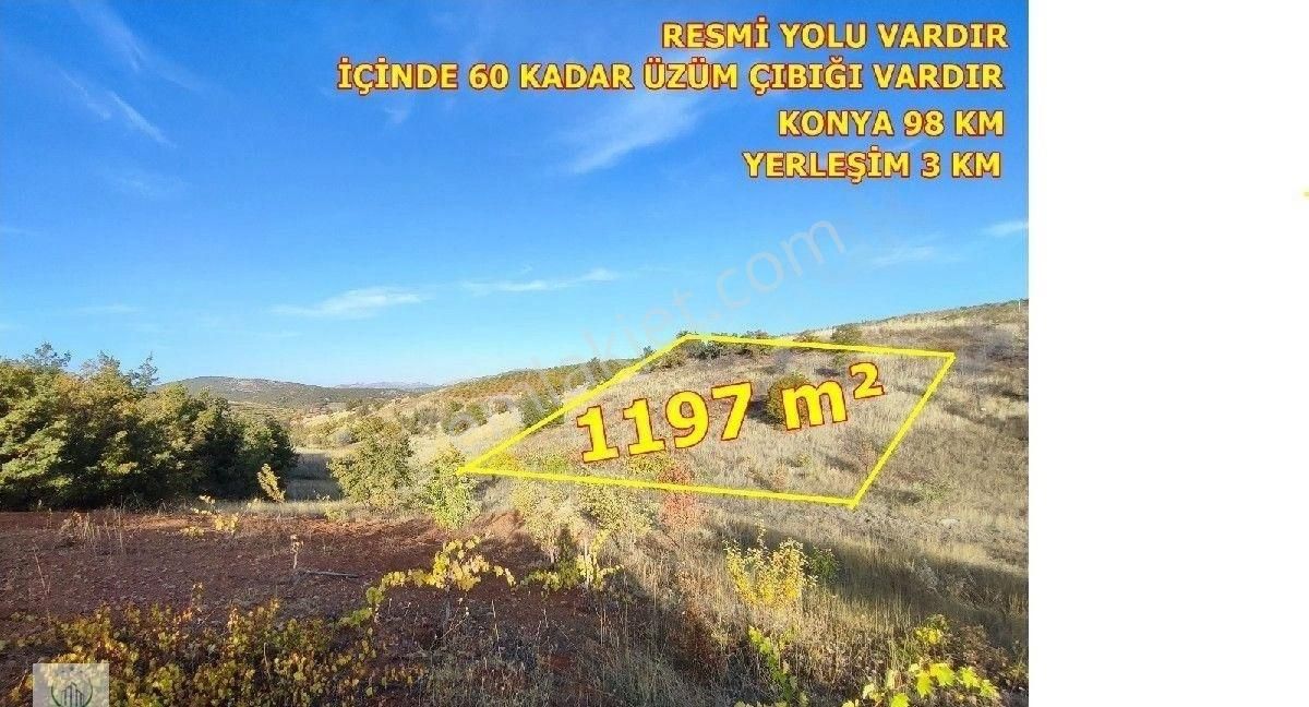 Hadim Aşağıeşenler Satılık Bağ & Bahçe ARISOYDAN FIRSAT 1197m² BAĞ YATIRIM YAPAN KAZANIR