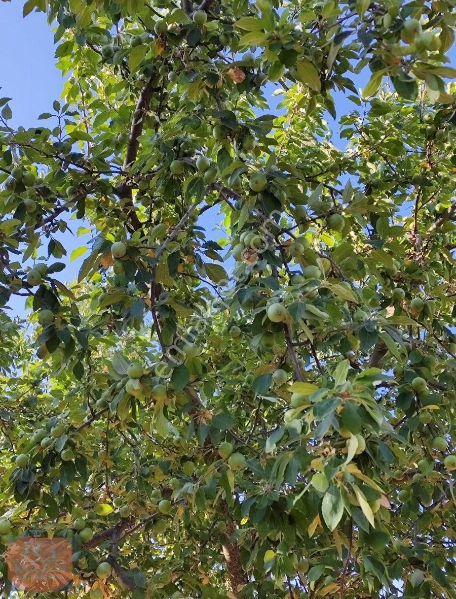 Manisa Yunusemre Recepli Mah Satılık 15.663 Metre Kare Tarla - Görsel 4
