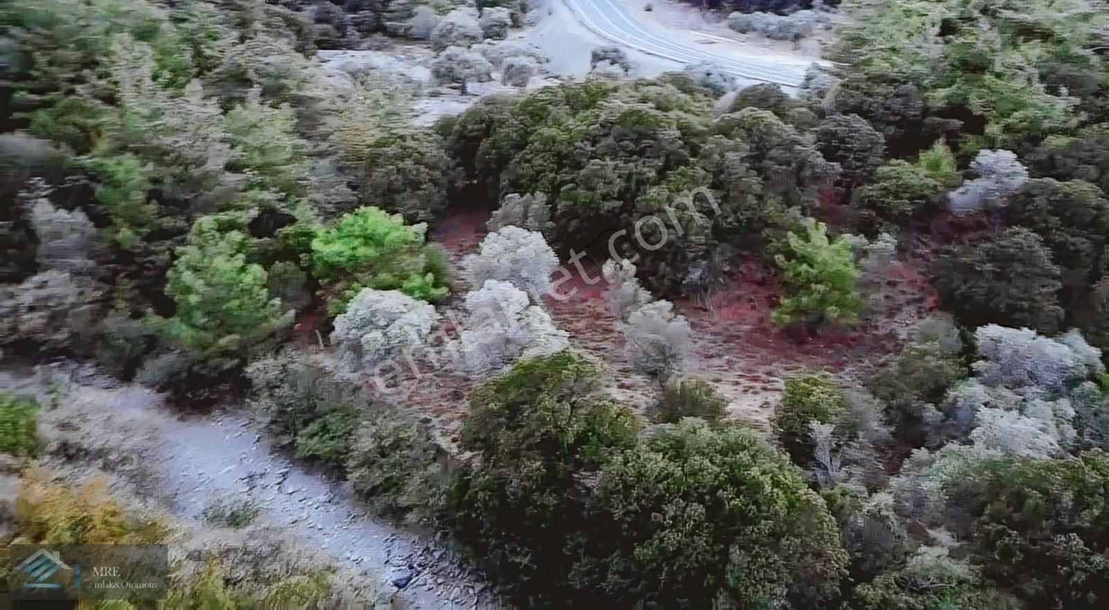 Gökçeada Tepeköy Köyü Satılık Zeytinlik UĞURLU YOLU KENARI SİT DIŞI İZOLE YAŞAM İÇİN UYGUN