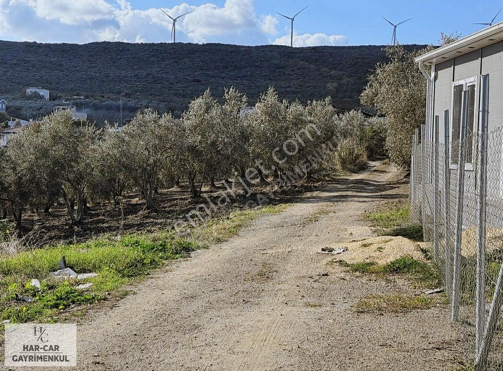 Mudanya Mesudiye Satılık Tarla Mesudiye De Fırsat Harika Konumda Arsa...