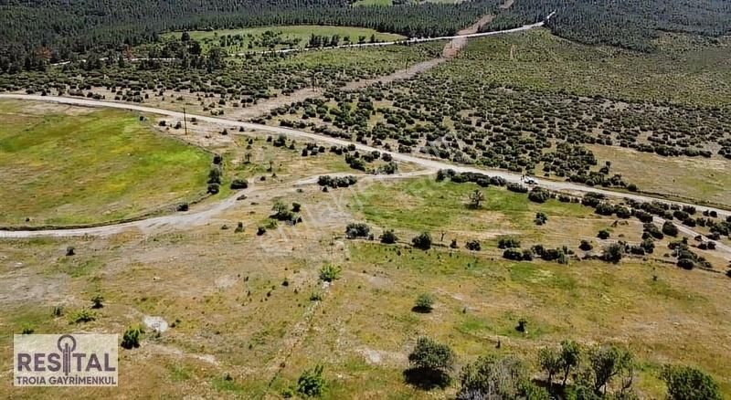 Bayramiç Bekirler Köyü Satılık Tarla OKSİJEN DEPOSU KÖYDE FIRSAT ARAZİ