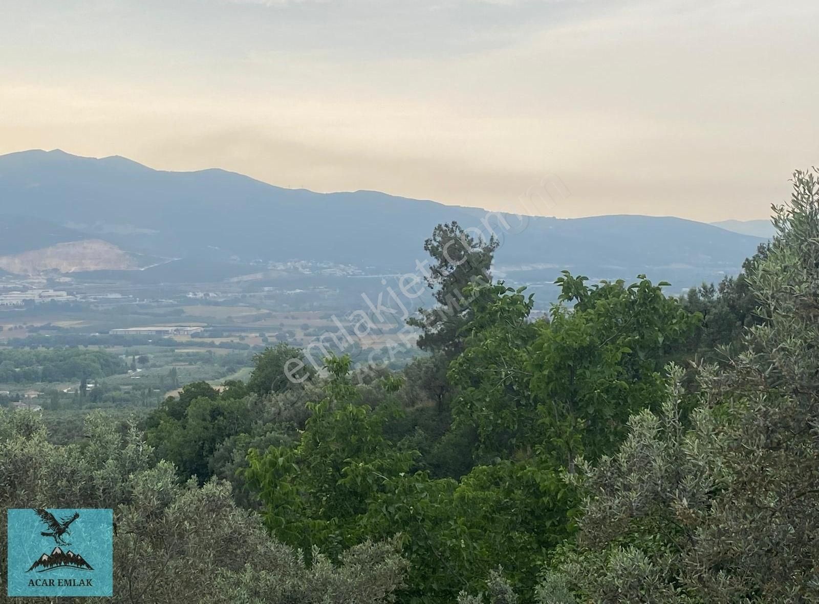 Orhangazi Karsak Satılık Zeytinlik ACAR EMLAK TAN KARSAK KÖY İÇİNDE YOLA CEPHE ŞEHİR MANZARALI ARSA