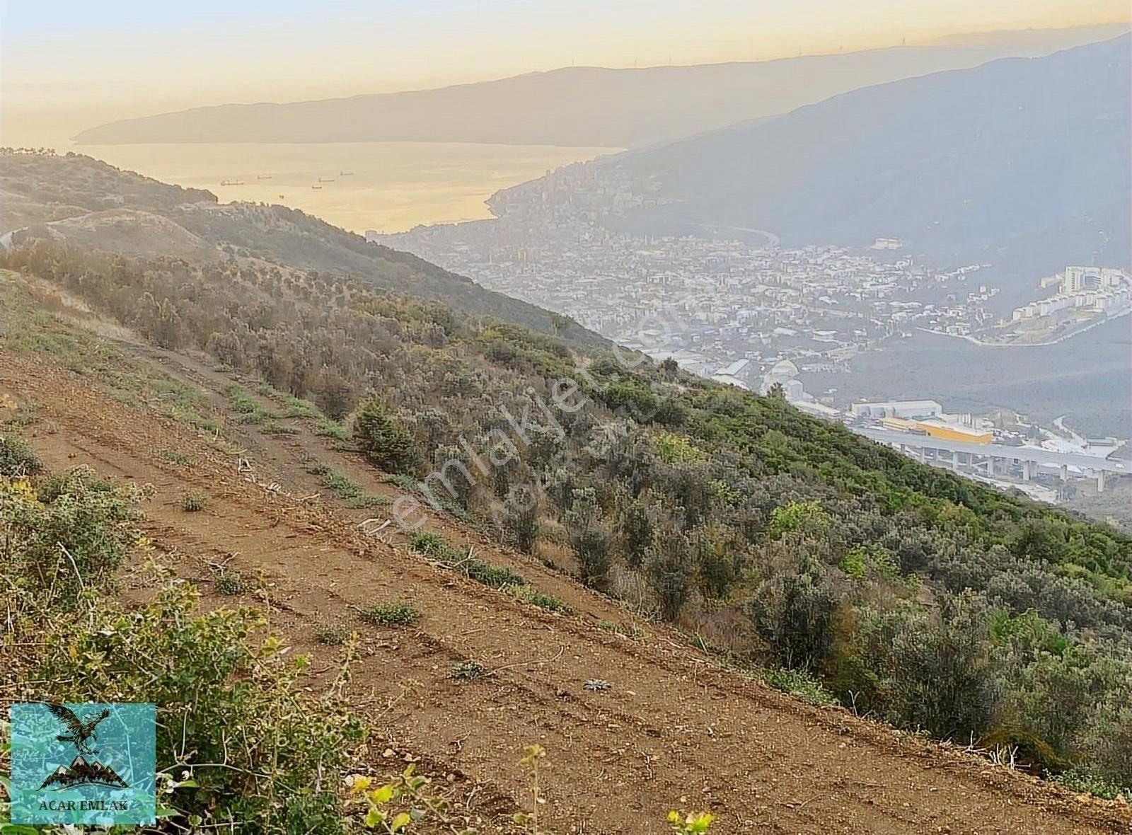 Gemlik Umurbey Satılık Zeytinlik ACAR EMLAK'DAN UMURBEYDE DENİZ VE GÖL MANZARALI YATIRIMLIK ARAZİ