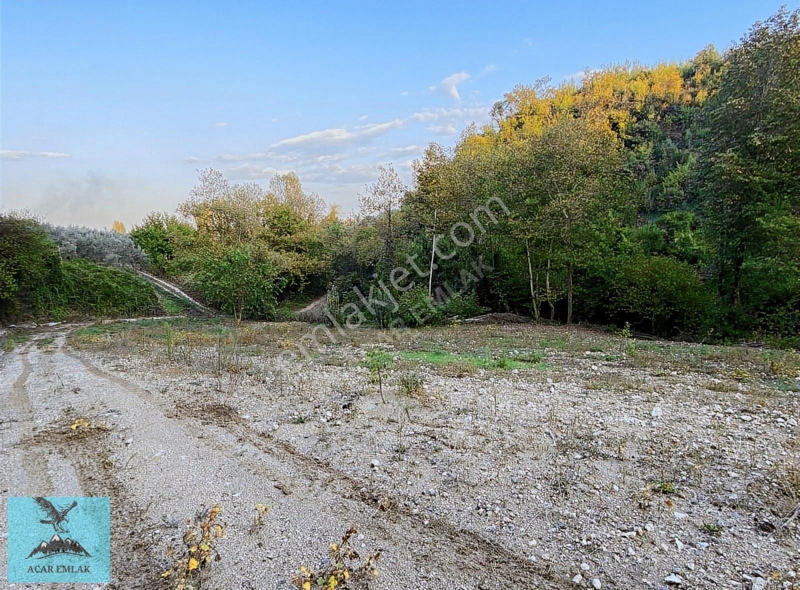 Orhangazi Karsak Satılık Zeytinlik ACAR EMLAK'DAN KARSAKTA 8 DÖNÜM YATIRIMLIK ARAZİ